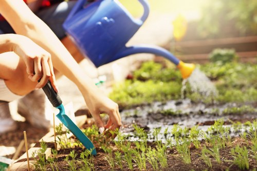 A gardener's hands are visible planting small seedlings into a well-prepared garden bed with dark, moist soil. In the background, a blue watering can is pouring water over the plants, which are neatly arranged in rows and exhibit fresh green growth. The garden bed features a defined border of wooden edging, and a gravel pathway runs alongside it, leading to a lush, green outdoor space typical of a residential garden in Wanstead. The scene is evenly lit with natural daylight, suggesting a bright, clear weather condition. The image captures a moment of active gardening, emphasizing careful planting and watering, elements essential to professional lawn care and gardening services offered by Landscapers Wanstead in the local area. The garden's overall layout highlights attention to detail in landscape organisation, with healthy, vibrant plant life and well-maintained surfaces, reflecting the quality of outdoor maintenance services available in the Wanstead postcode area.