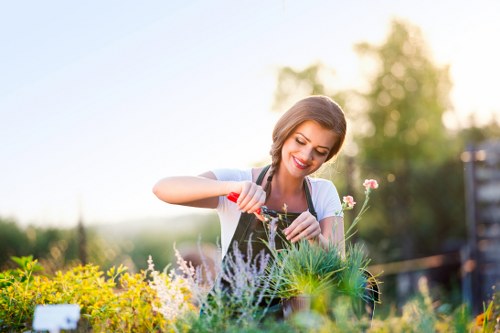 In the image, a woman is engaged in gardening outdoors during daylight hours, smiling while tending to a diverse collection of plants in a garden. She is using a small hand tool to carefully work among various herbs, flowers, and leafy greenery. The garden features a neatly maintained lawn in the foreground with a variety of flowering plants and foliage borders, including yellow, white, and purple blooms, alongside lush green shrubs. In the background, there are tall trees and a wooden fence, suggesting a private outdoor space in Wanstead or nearby areas with a warm, soft sunlight illuminating the scene. The garden surface appears well-kept, with healthy, dense grass and a mix of soil and garden beds, indicating ongoing maintenance. The setting exudes a tranquil and inviting atmosphere, highlighting aspects of garden care and landscaping services offered by Landscapers Wanstead, suitable for promoting professional gardening and outdoor maintenance.