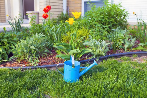 In a well-maintained front garden, a vibrant green lawn with evenly cut grass occupies the foreground, bordered by a flower bed containing a variety of plants and blooms. The flower bed features tulips in red and yellow, alongside other flowering plants with green foliage, set against the backdrop of a white exterior wall of a property. The garden edging is neat, with dark plastic or fabric material separating the grass from the plant area. A blue plastic watering can is placed on the grass, indicating ongoing gardening maintenance. Behind the flower bed, a bushy shrub with bright green leaves adds height and texture to the scene. The overall environment appears to be an outdoor residential space on a clear day, with natural lighting emphasizing the lushness and vibrancy of the garden. The arrangement reflects typical landscaping and gardening practices aimed at creating an attractive, organized, and functional outdoor area, suitable for local garden care services in Wanstead or nearby areas.