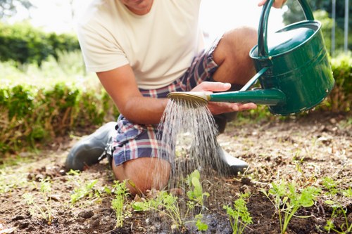 Eco-friendly garden maintenance in Wanstead