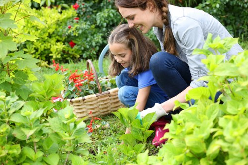 Choosing the right lawn mowing service in Wanstead