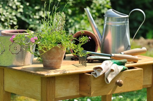 Maintenance tools for deck upkeep