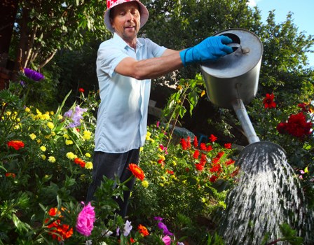 Scheduled garden clearance by experts in Wanstead