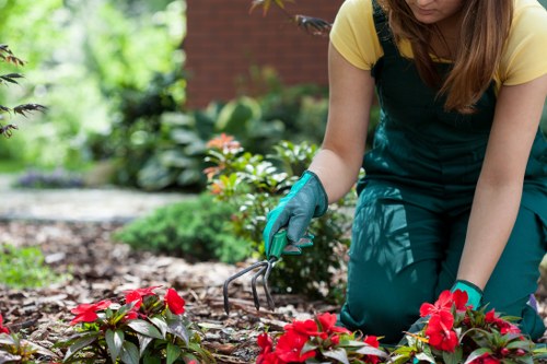 The image shows a person in a garden, wearing teal gardening overalls and a yellow shirt, kneeling on the ground and using a hand rake to tend to a flower bed. The garden features a neatly maintained lawn area with lush green grass in the foreground, bordered by a variety of plants, including colorful flowering shrubs with red and pink blossoms, and well-trimmed green foliage. In the background, there are small bushes and taller trees providing shade, with a brick wall partially visible. The soil in the flower bed appears freshly worked, with natural soil tones and organic texture. The scene suggests a well-maintained outdoor space during daylight hours with natural lighting, suitable for professional gardening and landscaping services, such as those offered by Landscapers Wanstead, focused on garden maintenance and enhancement in the Wanstead area near E11 postcodes.