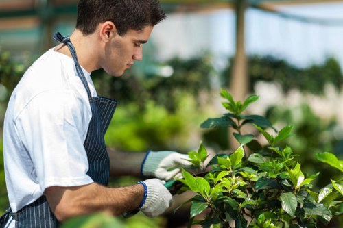 A young male gardener wearing a white t-shirt, striped apron, and white gardening gloves is tending to green leafy plants in a well-maintained garden. The garden features a lush, neatly trimmed hedge in the background, with vibrant green foliage and a mixture of shrubs and small trees. The ground is covered in dark soil, and there is a paved pathway visible at the edge of the planting area. The setting appears to be a bright, sunny day with natural light illuminating the scene, highlighting the healthy, thriving plants. This outdoor space is part of a residential garden in Wanstead, demonstrating careful planting and maintenance, consistent with high-quality landscaped gardens. The gardener’s focused work reflects professional garden care, supporting services such as planting, pruning, and general outdoor maintenance offered by Landscapers Wanstead, which specializes in garden improvement and landscaping services in the local area.