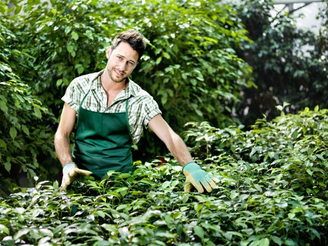 Selecting the right plants for Wanstead gardens