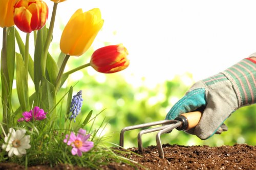 Designing a garden layout in Wanstead