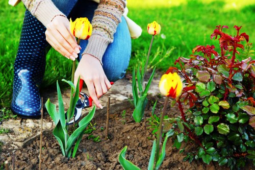 A gardener's hands are shown planting yellow tulips in a well-maintained garden bed, with loose soil visible around the plants. The garden includes a mix of vibrant yellow tulips and a nearby red and green leafy shrub, providing a colorful contrast against the lush, green grassy lawn in the background. The scene is outdoors and appears to be on a bright, clear day, highlighting the natural tones of the flowers and foliage. The garden space features a clean, edged border separating the flower bed from the lawn, with a paved pathway partially visible at the edge of the frame. This setting reflects typical landscaping and gardening efforts for a tidy, inviting outdoor yard, which local landscaping services like those from Landscapers Wanstead could professionally maintain or enhance.