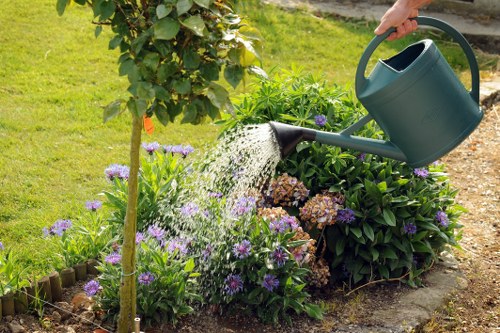 A gardener's hand is visible holding a green watering can, pouring water onto a flower bed in a landscaped garden area. The flower bed contains a variety of blooming plants with purple and brownish flowers, surrounded by dark green foliage. In the background, there is a well-maintained lawn with bright green grass, bordered by a wooden edge, and a small shrub or young tree with green leaves. The scene appears to be outdoors on a bright, sunny day, with natural lighting highlighting the vibrant colours of the plants and the lushity of the grass. This setting reflects typical garden maintenance activities and outdoor landscaping, suitable for a professional gardening service operating in Wanstead or nearby areas, with a focus on garden watering and plant care.