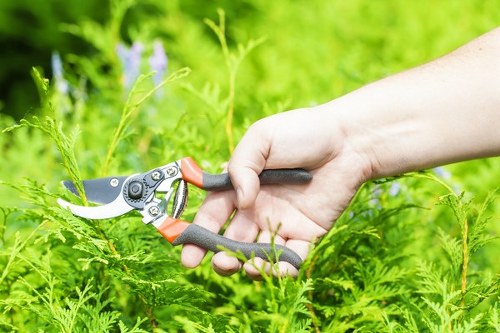 Professional team from Wanstead Landscapers working on a residential project