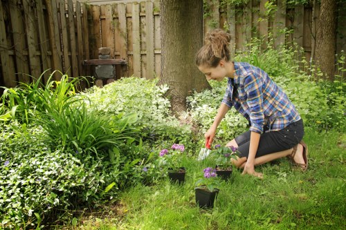 A woman is kneeling on a well-maintained grassy lawn in a garden, surrounded by a variety of plants and shrubs. She is watering small potted flowering plants with a garden sprayer, positioned near a large tree with a wooden fence in the background. The garden features lush green foliage, flowering plants in shades of purple and white, and a tidy appearance that suggests regular gardening care. The scene is outdoors on a clear day, with natural sunlight illuminating the vibrant greenery, emphasizing the natural tones of the grass, leaves, and flowers. This image exemplifies typical garden landscaping and lawn care activities that a professional gardening service like Landscapers Wanstead may carry out in local outdoor spaces in the Wanstead area, including lawn maintenance and plant nurturing, aligning with the services highlighted in the Wanstead Patio Repair Services page.