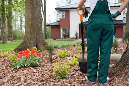 A person dressed in green garden overalls standing outdoors in a landscaped garden in Wanstead, with their back to the camera, holding a garden shovel with an orange handle. The garden features a mulched flower bed with a cluster of red tulips and small green shrubs. In the background, there are mature trees with tall trunks and a modern two-storey house with a reddish-brown exterior, large windows, and a dark roof. The lawn area is lush and green, and the scene appears to be set on a clear day with natural light illuminating the space. The environment indicates ongoing garden maintenance or planting work, typical of professional gardening services in the Wanstead area, with a focus on neatness and natural landscaping elements.