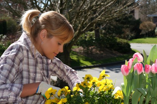 Overview of landscape gardening importance in Wanstead