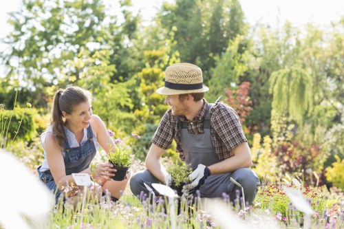 A gardener and a young girl are working together in a lush, well-maintained garden with a variety of colorful flowering plants and green foliage. The gardener is wearing a straw hat, plaid shirt, gardening gloves, and overalls, while the girl is dressed in a denim apron over casual clothing. They are kneeling on a lawn with vibrant purple and pink flowers surrounding them, and the gardener appears to be planting or inspecting plants. In the background, there are tall trees, neatly trimmed hedges, and a paved pathway, indicating a spacious outdoor garden area typical of residential landscaping in Wanstead. The scene is illuminated by soft natural daylight, suggesting a pleasant, clear day suitable for gardening tasks. This setting reflects professional gardening and landscaping services offered by Landscapers Wanstead, focusing on outdoor garden improvements and maintenance.